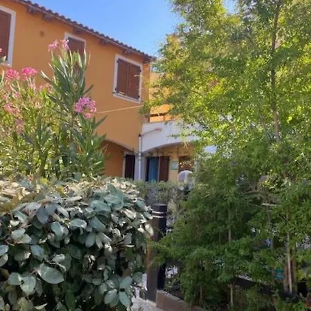 The Little Lemon Tree Apartment